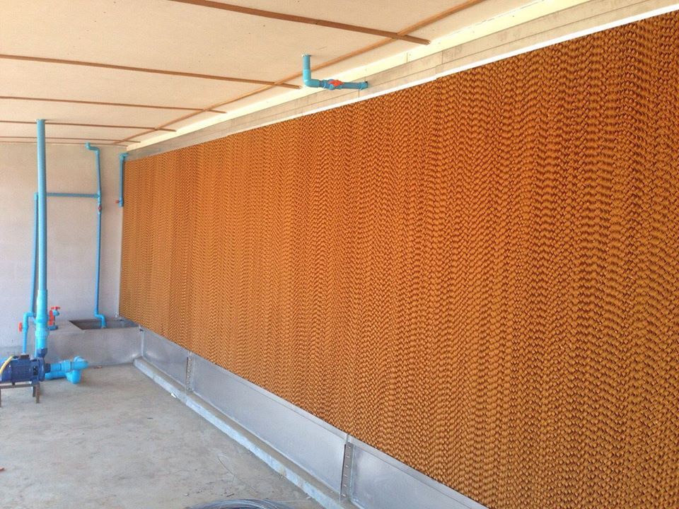 Cellulose Pad Supplier - 600mm To 1800mm Sizes, Brown & Green-brown Colors | Window Mount Installation, Ideal For Industrial & Commercial Uses