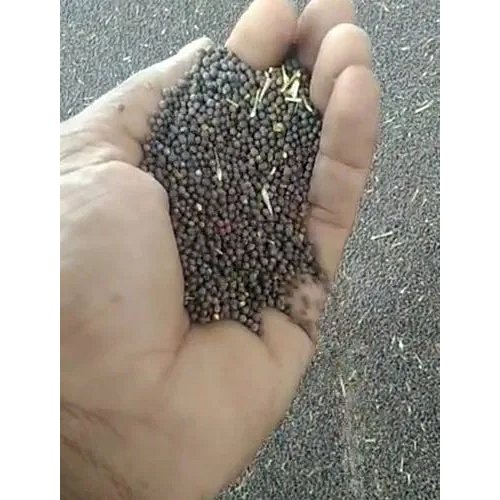 ऑर्गेनिक ब्लैक मस्टर्ड सीड