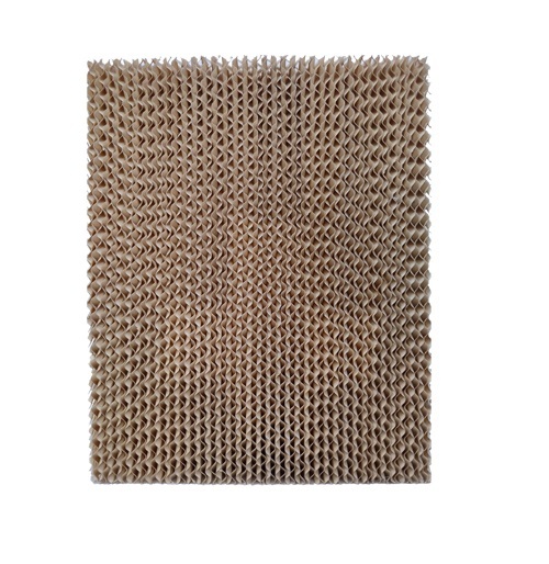 Brown And Green Brown Cellulose Pad In Nanded Maharashtra