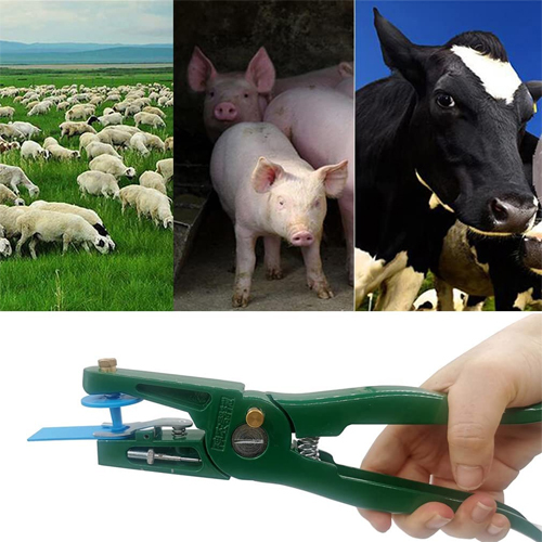Cow Ear Tag - Tpu Material, Adjustable Thickness, Yellow Color | Weather-resistant, Easy To Clean, Livestock Tracking Solution