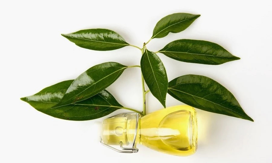 Natural Camphor Oil - 100% Pure Herbal Extract, Pharmacy Grade, Clear To Yellowish Liquid, Multi-use For Aromatherapy, Skin Care, And Diy Formulations