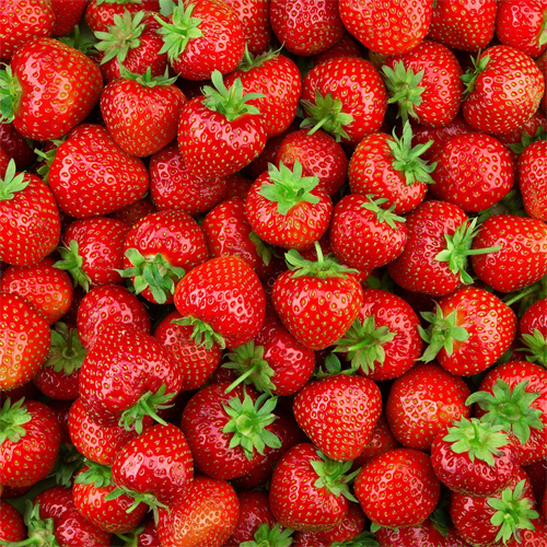 Organic Red Strawberry