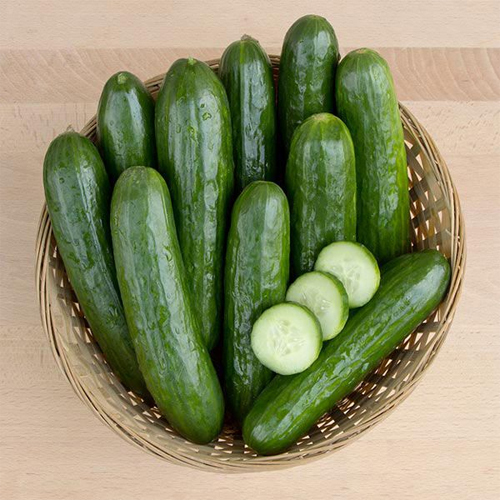 Natural Green Cucumbers