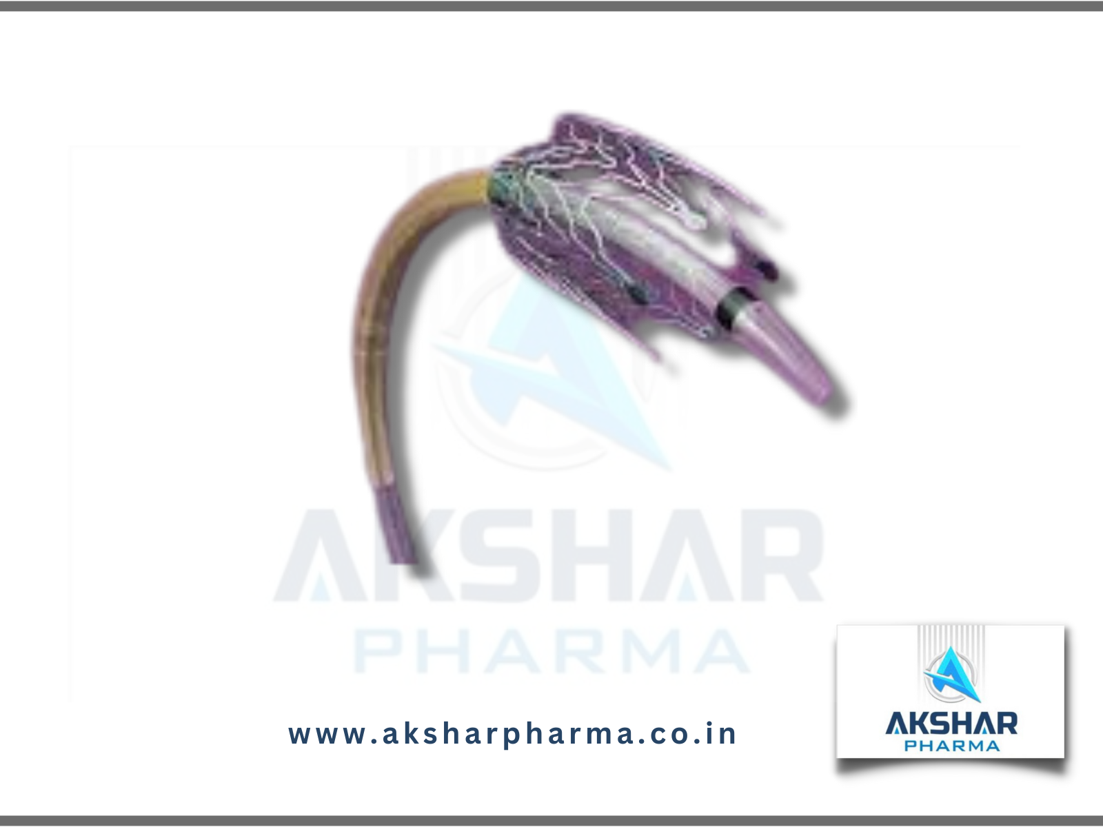 Absolute Pro Stent - Application: Medsical