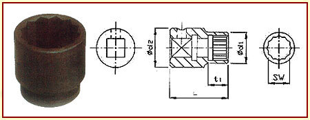 HSS रेमर