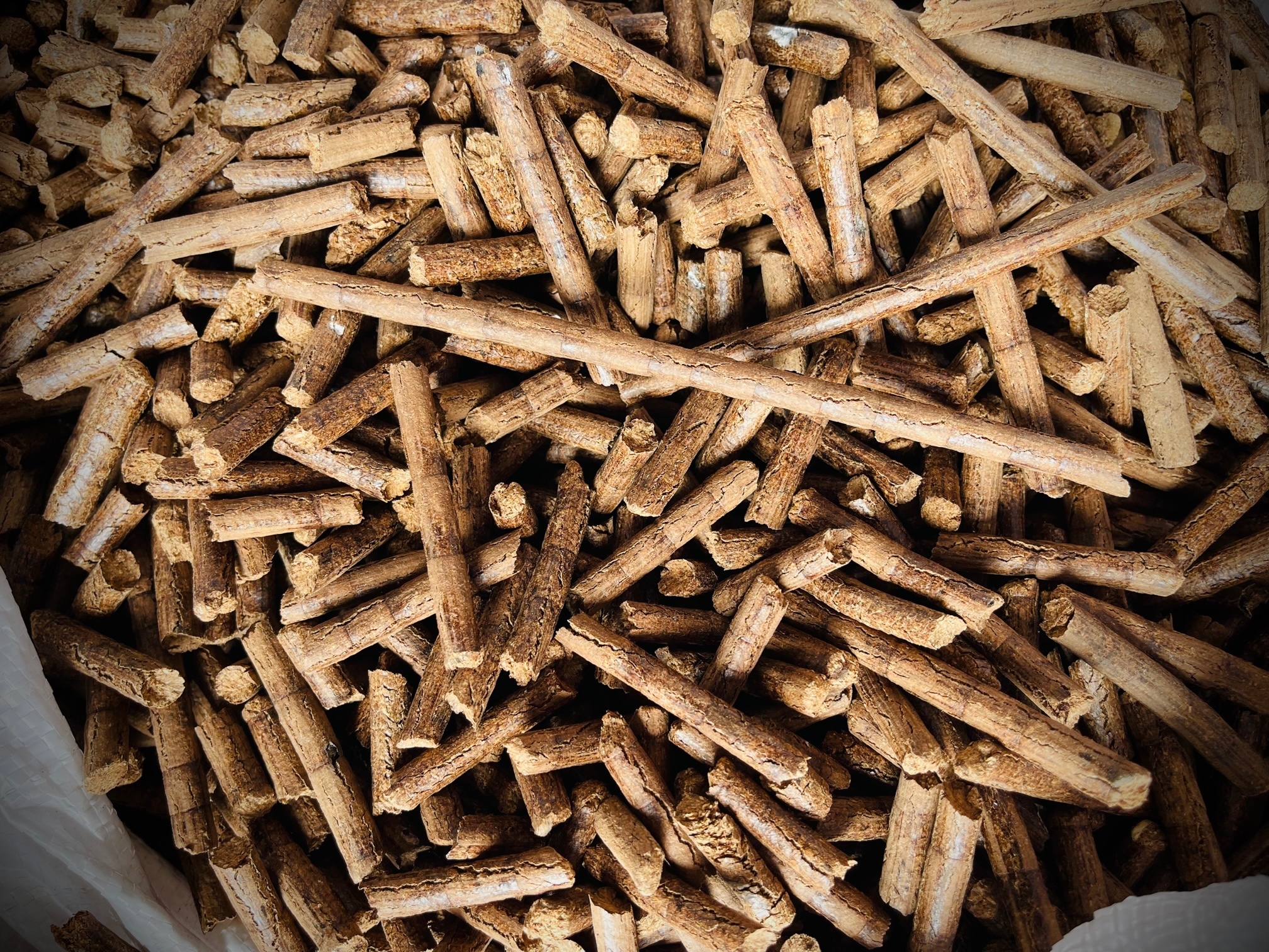 Biomass Pellet