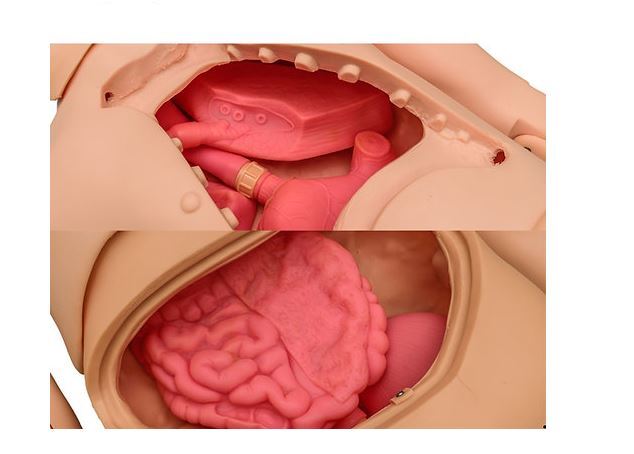 Gd H100s Basic Combination Nursing Manikin