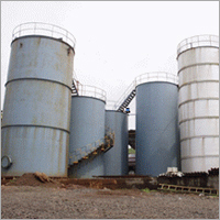 Labsa Plant