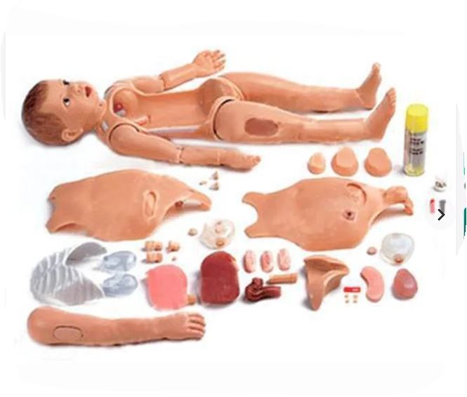 Ft333 Advanced Multi-functional Child Nursing Manikin (Unisex)