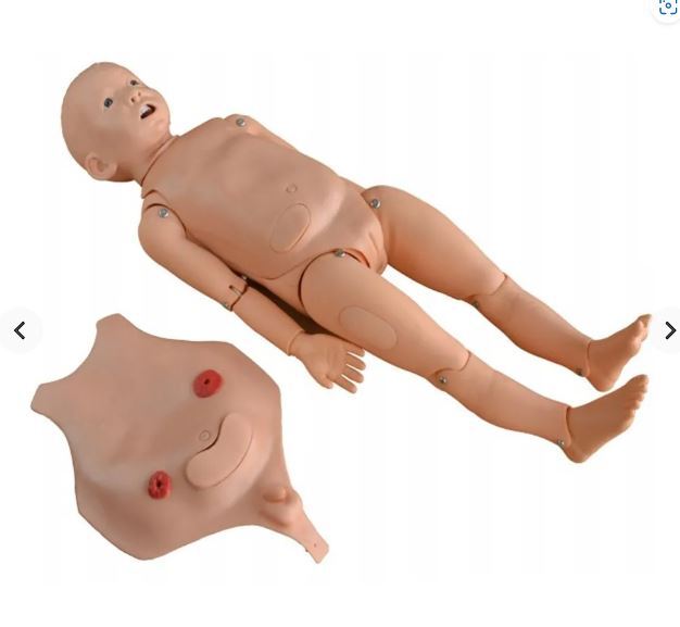 Ft333 Advanced Multi-functional Child Nursing Manikin (Unisex)