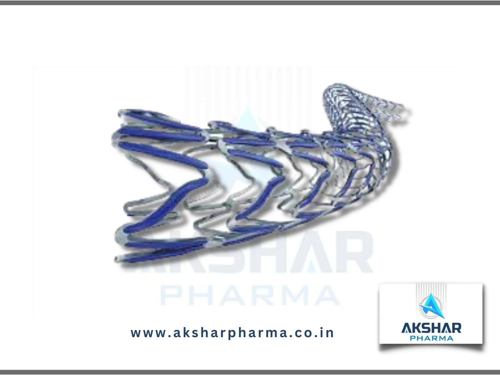 Ultimaster Stent - Application: Hospital