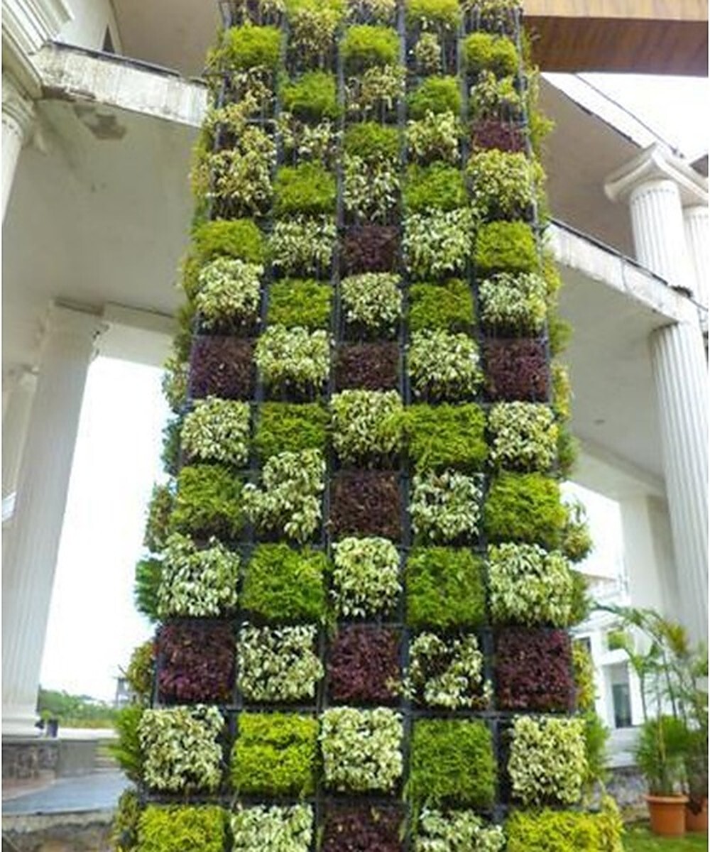 Vertical Garden Grass Length: 53  Centimeter (Cm)