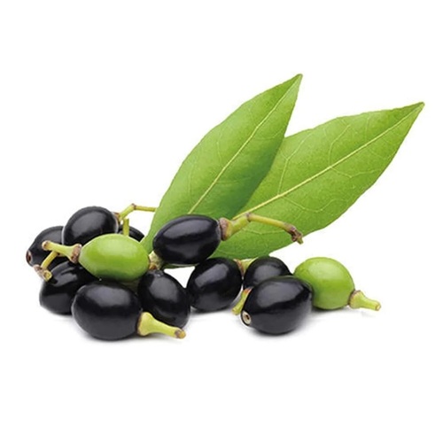 Berry Essential Oils - Grade: Pharmacy Grade