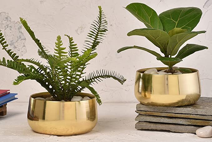 Gold Flower Pot - Iron Material, 15x15x8 Cm , Glossy Finish, Golden Color, Suitable For Home And Table Decoration