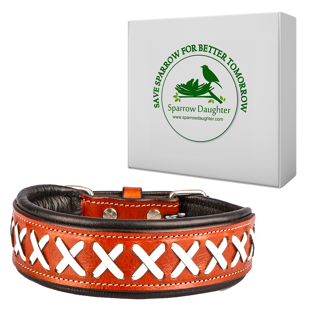 Sparrow Daughter Leather Dog Collar In Orange - Solid Leather, Antique Brass Buckle, Rust Resistant | Durable, Soft Leather, Stylish, Easy Attachment, Embroidery Available
