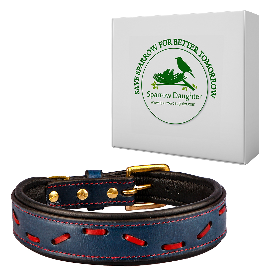 Sparrow Daughter Leather Dog Collar With Different Braided Design