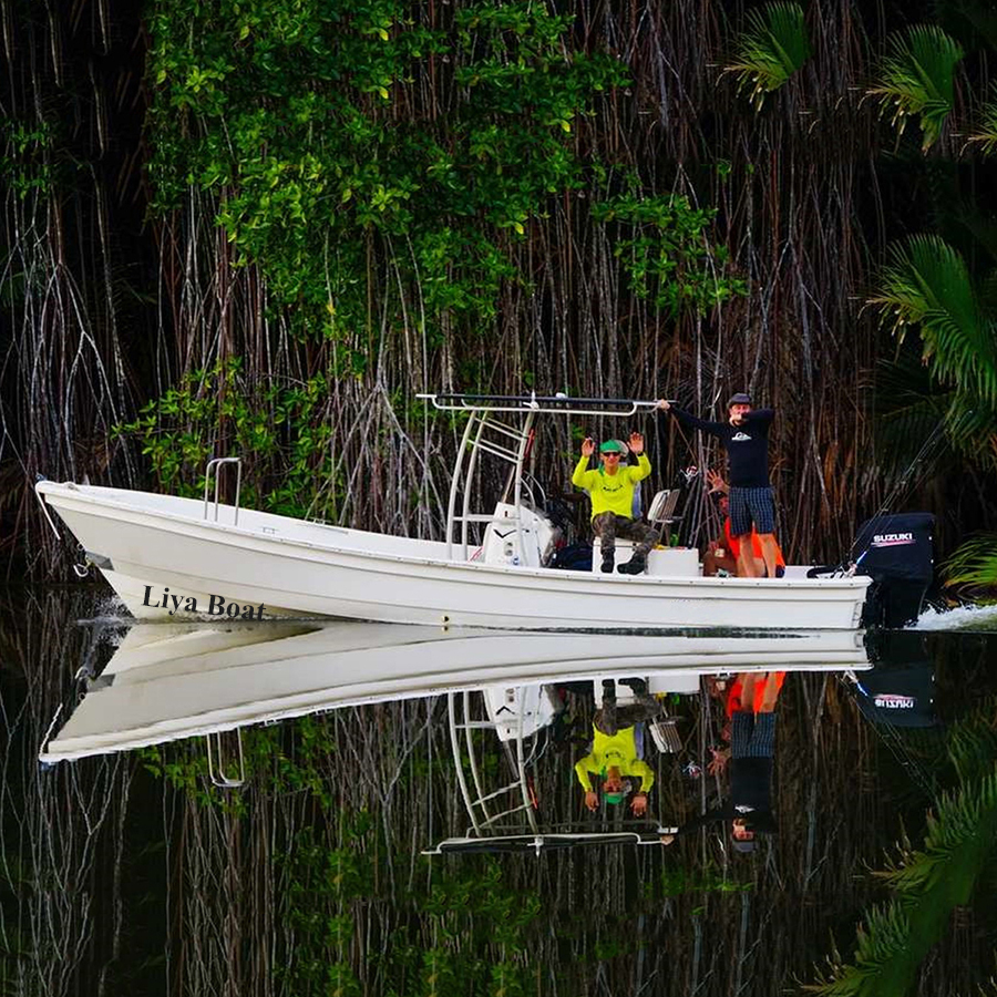 Liya 7.6m Fiberglass Panga Fishing Boats Sprot Tour Boat For Sale Dimensions: 25 Foot (Ft)