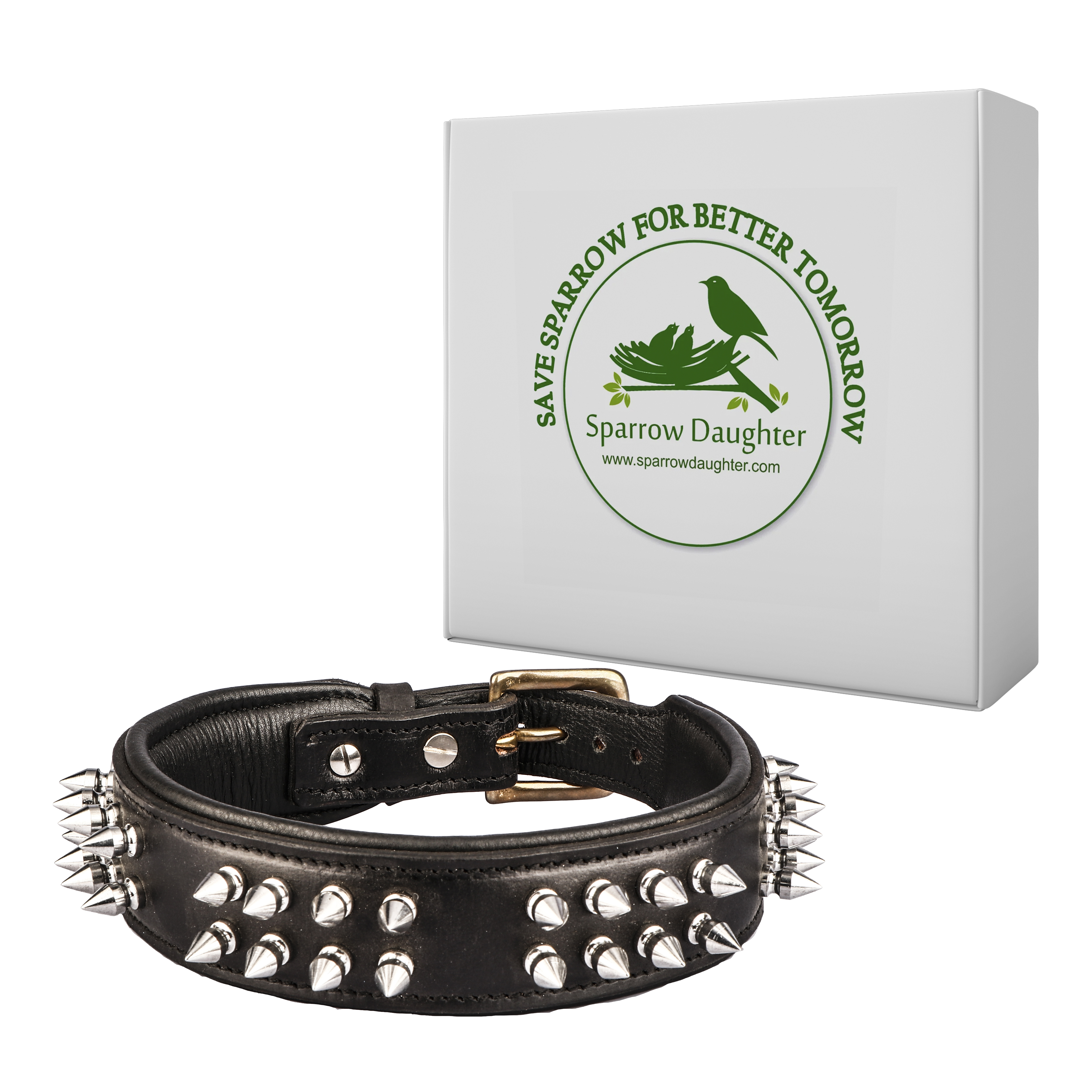Sparrow Daughter Dog Collar With Spiked In Leather