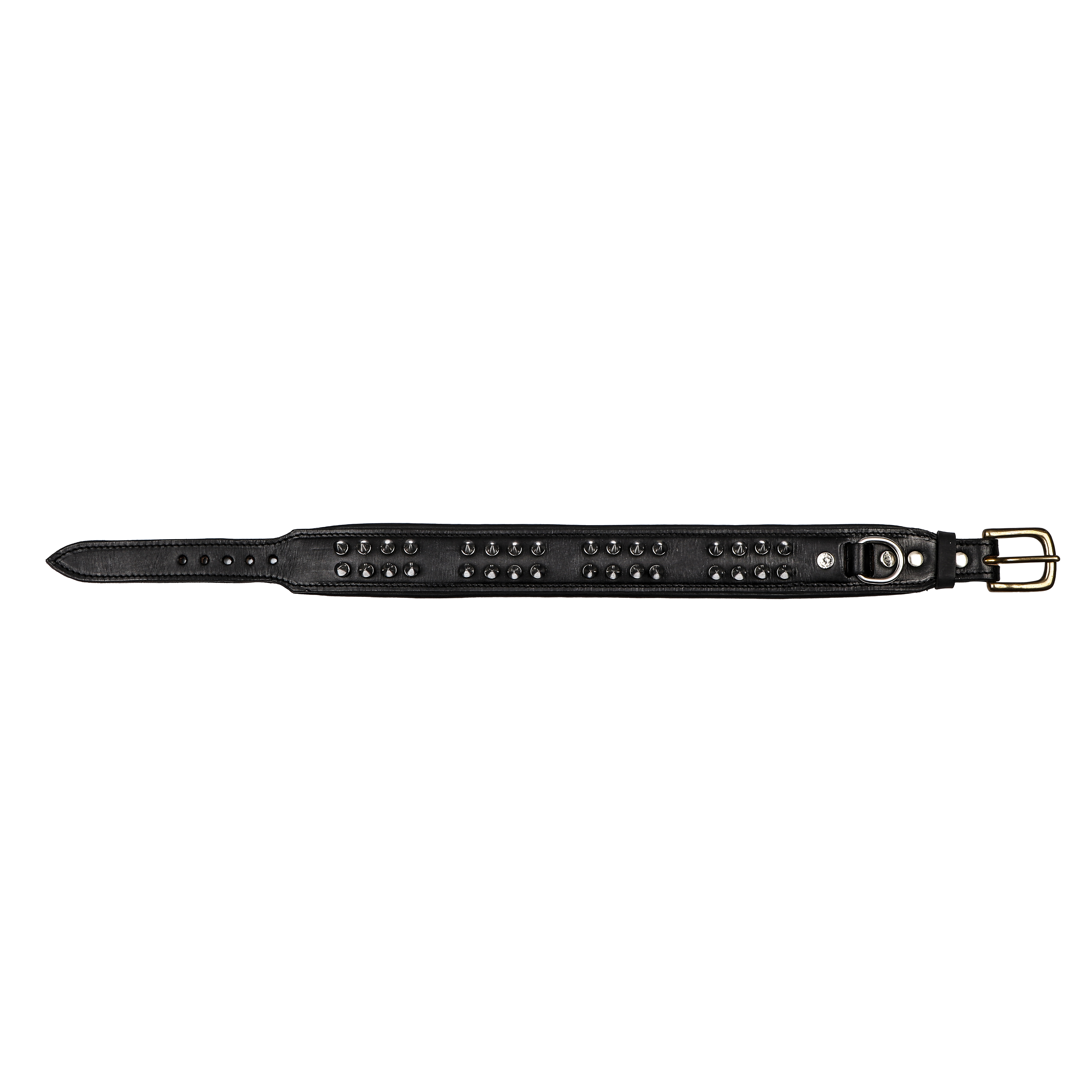 Sparrow Daughter Dog Collar With Spiked In Leather
