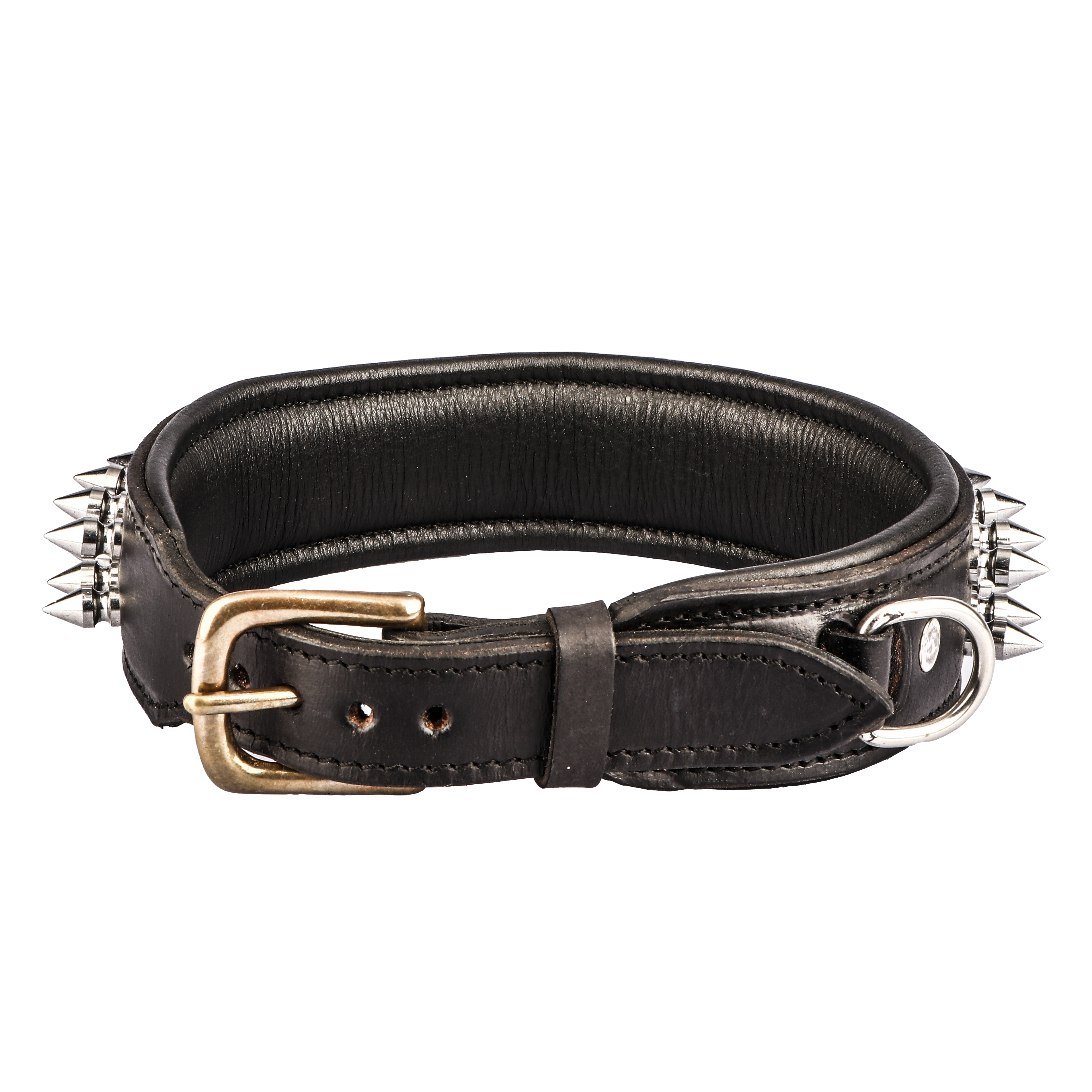 Sparrow Daughter Dog Collar With Spiked In Leather