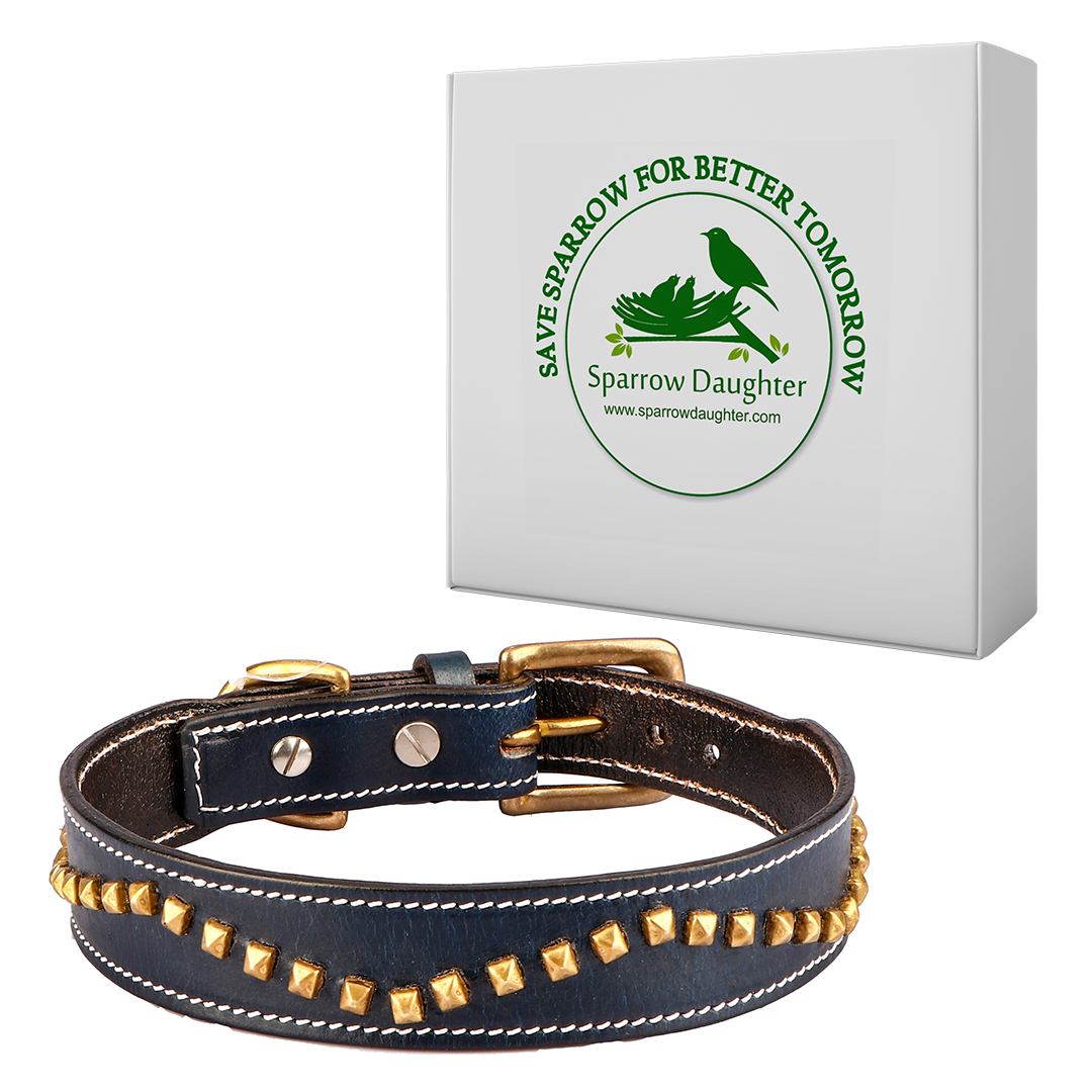 Sparrow Daughter Hand Made Studded Dog Collar - Leather, Multiple Sizes, Blue | Antique Brass Buckle, Durable, Handcrafted, Rust Resistant, Stylish Design