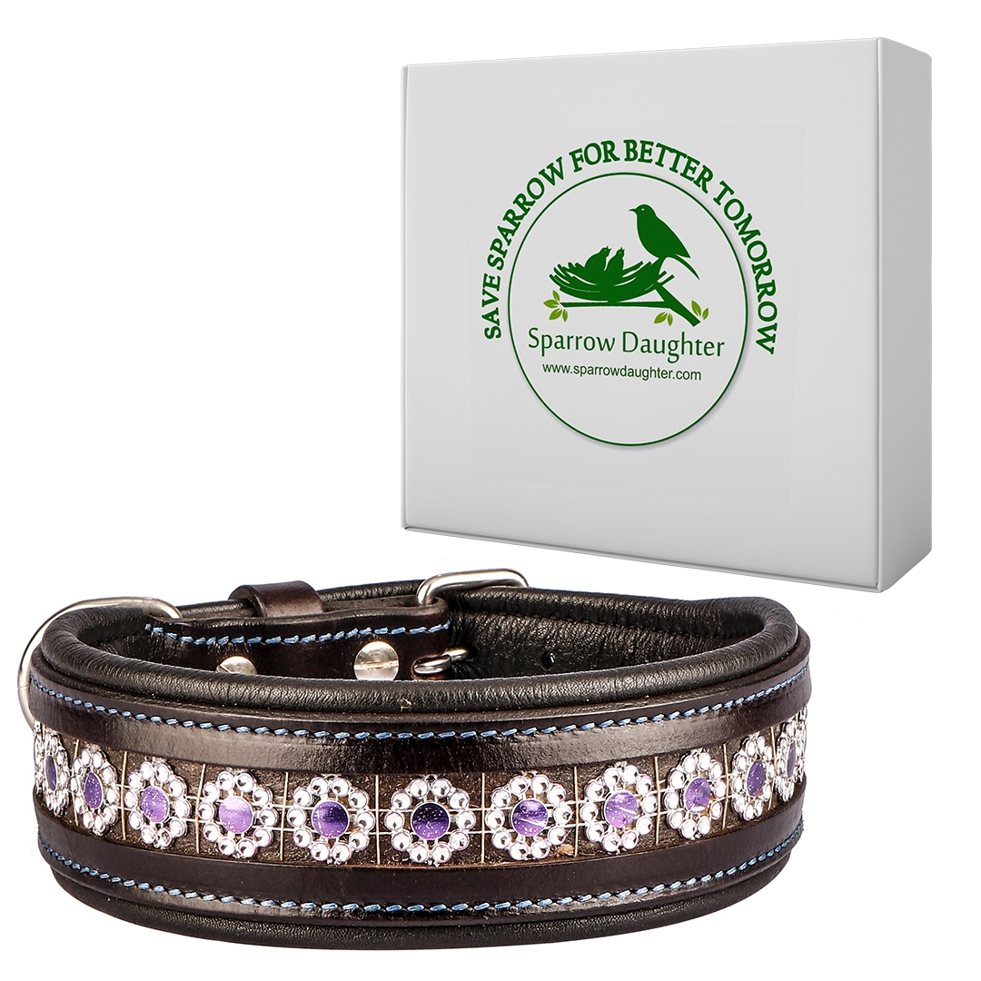 Sparrow Daughter Dog Collar With Crystal Design
