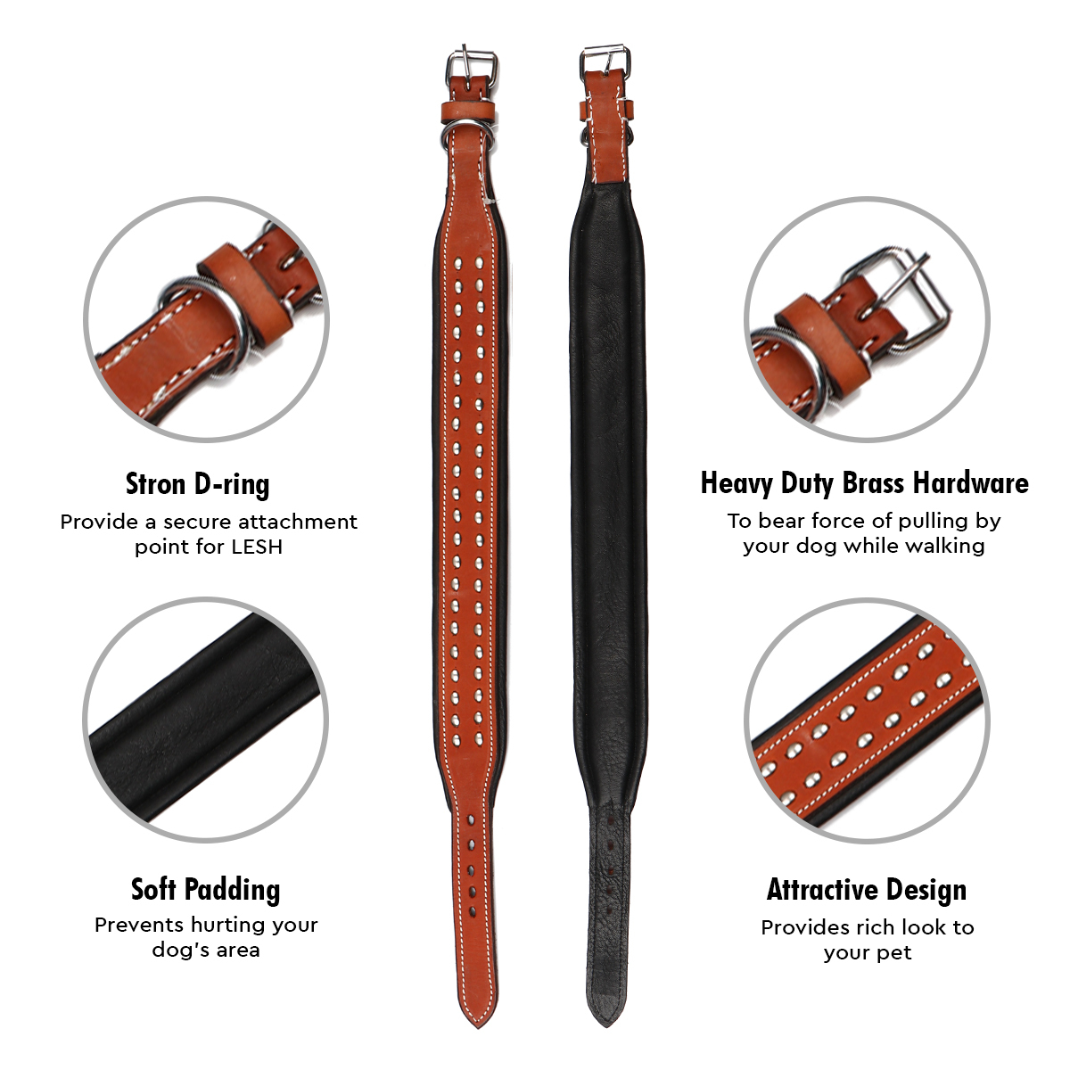 Sparrow Daughter Brown Dog Collar With Studded - Leather, Adjustable Size, 5 Holes | Antique Brass Buckle, Comfortable Wear, Durable Design