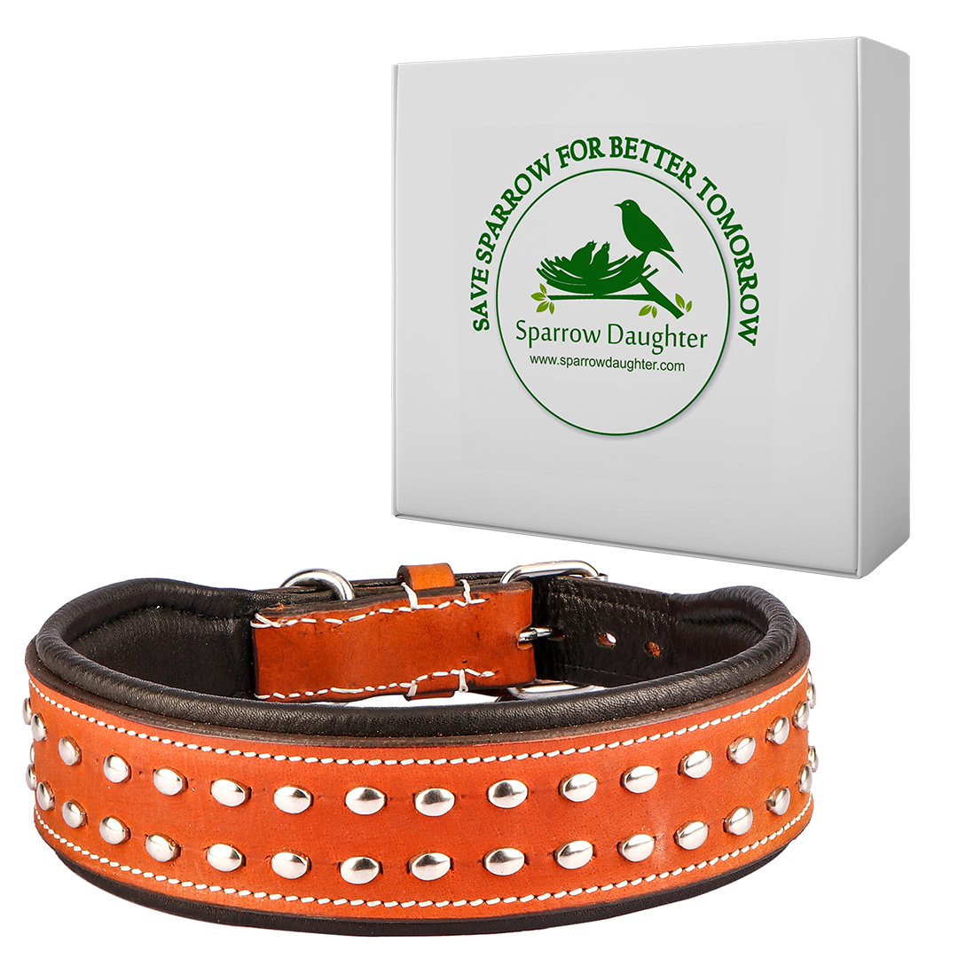 Sparrow Daughter Brown Dog Collar With Studded - Leather, Adjustable Size, 5 Holes | Antique Brass Buckle, Comfortable Wear, Durable Design
