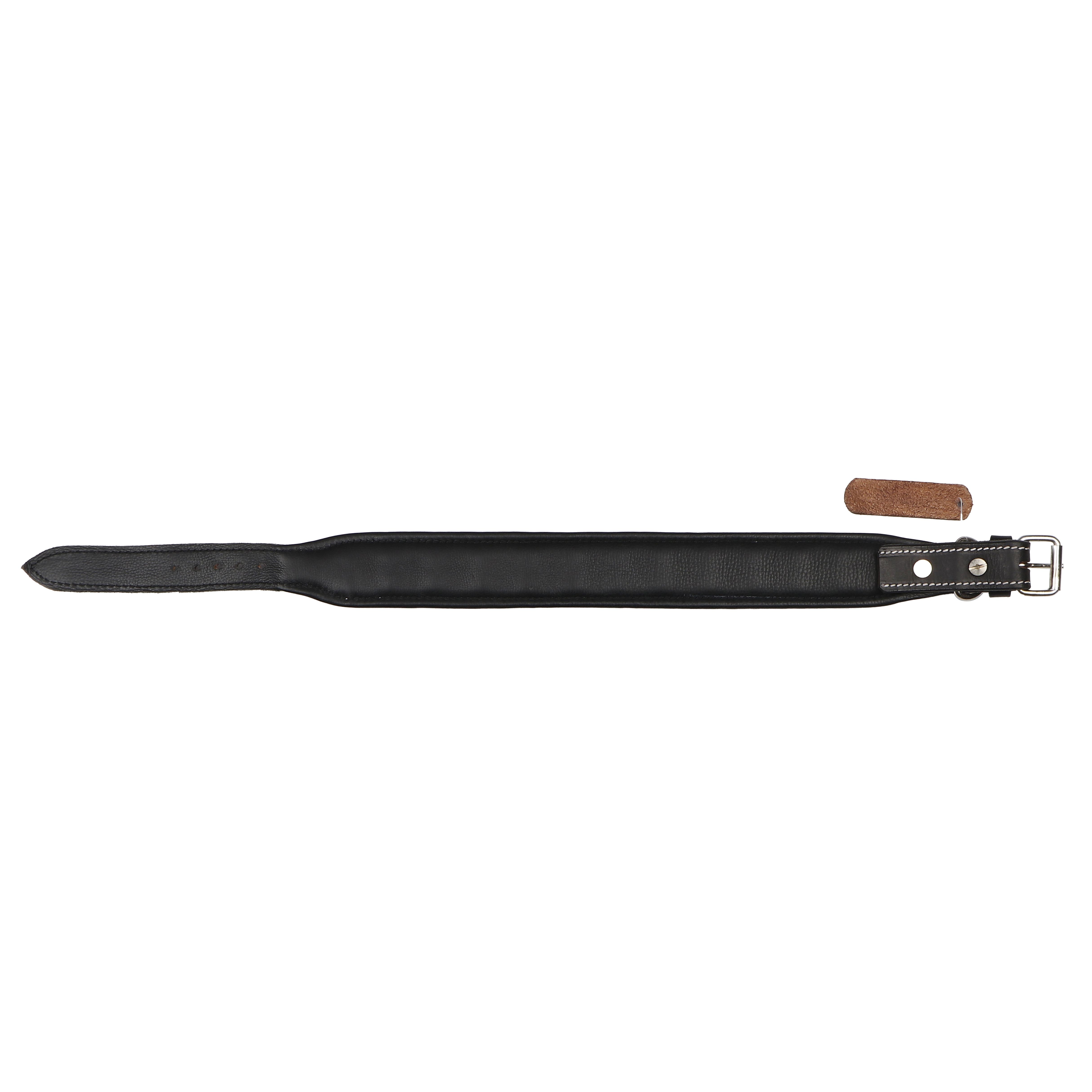 Sparrow Daughter Leather Dog Collar With Spikes And Studded