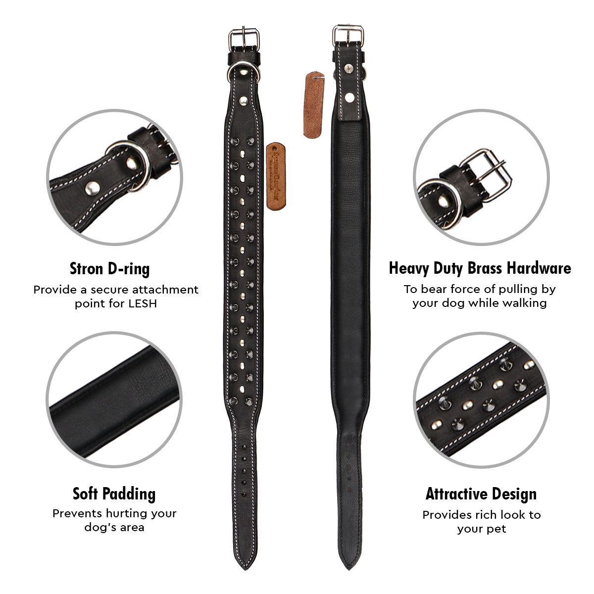 Sparrow Daughter Leather Dog Collar With Spikes And Studded