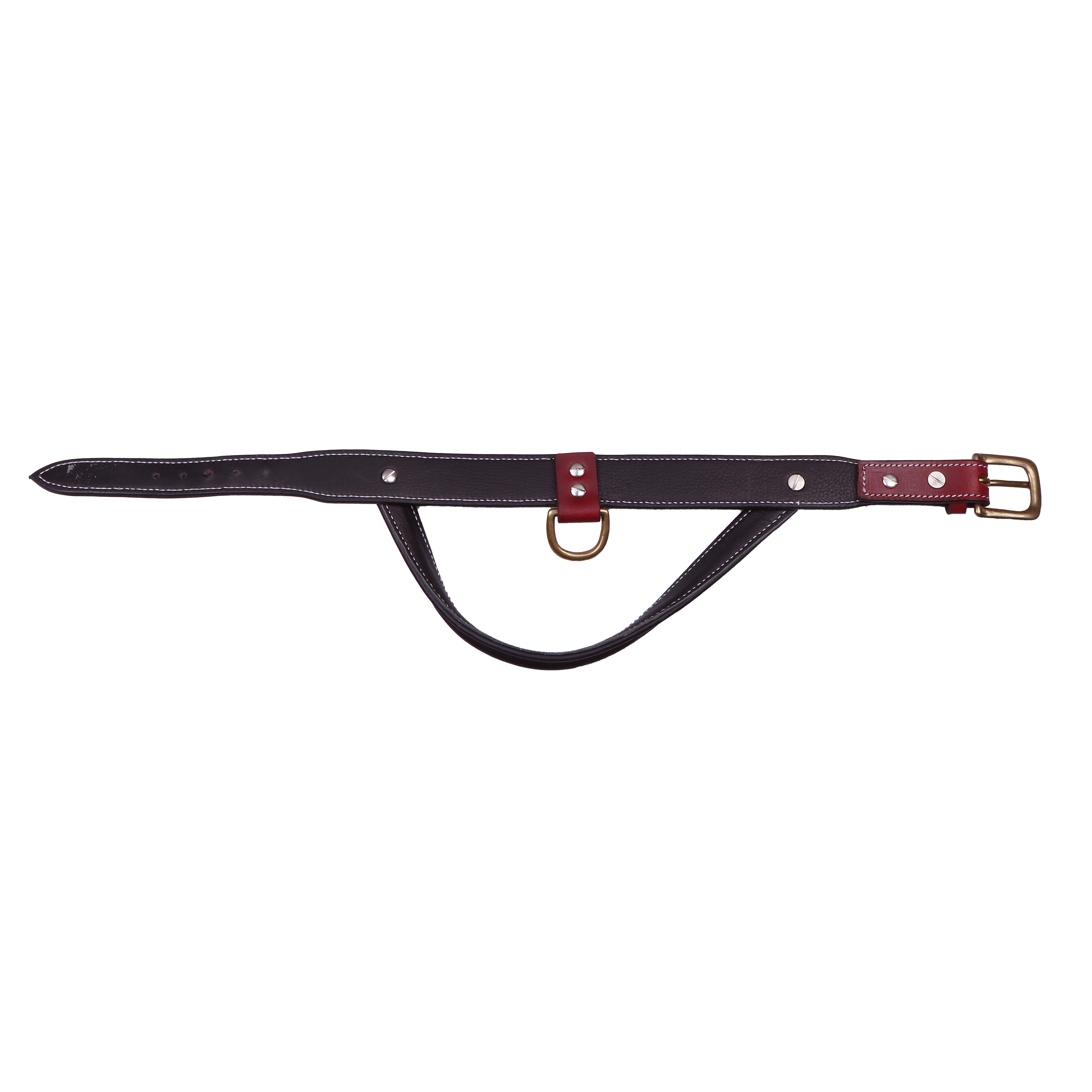 Sparrow Daughter Red And Brown Dog Color With Control Handle