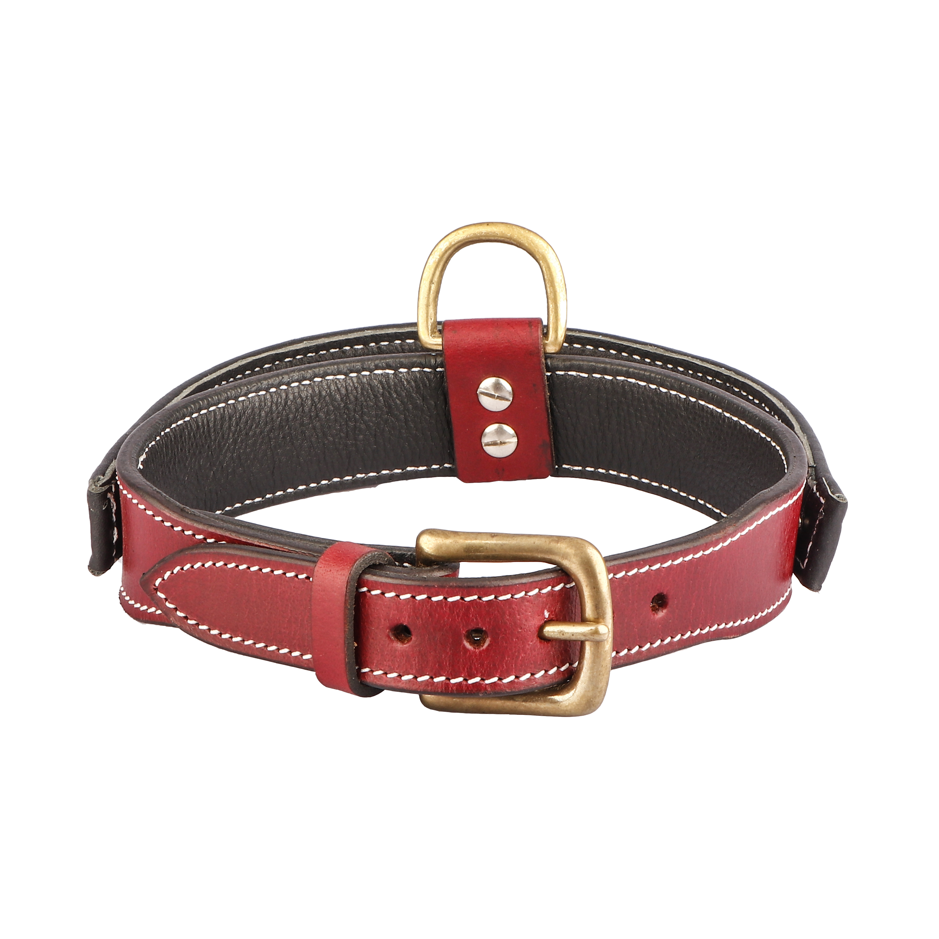 Sparrow Daughter Red And Brown Dog Color With Control Handle