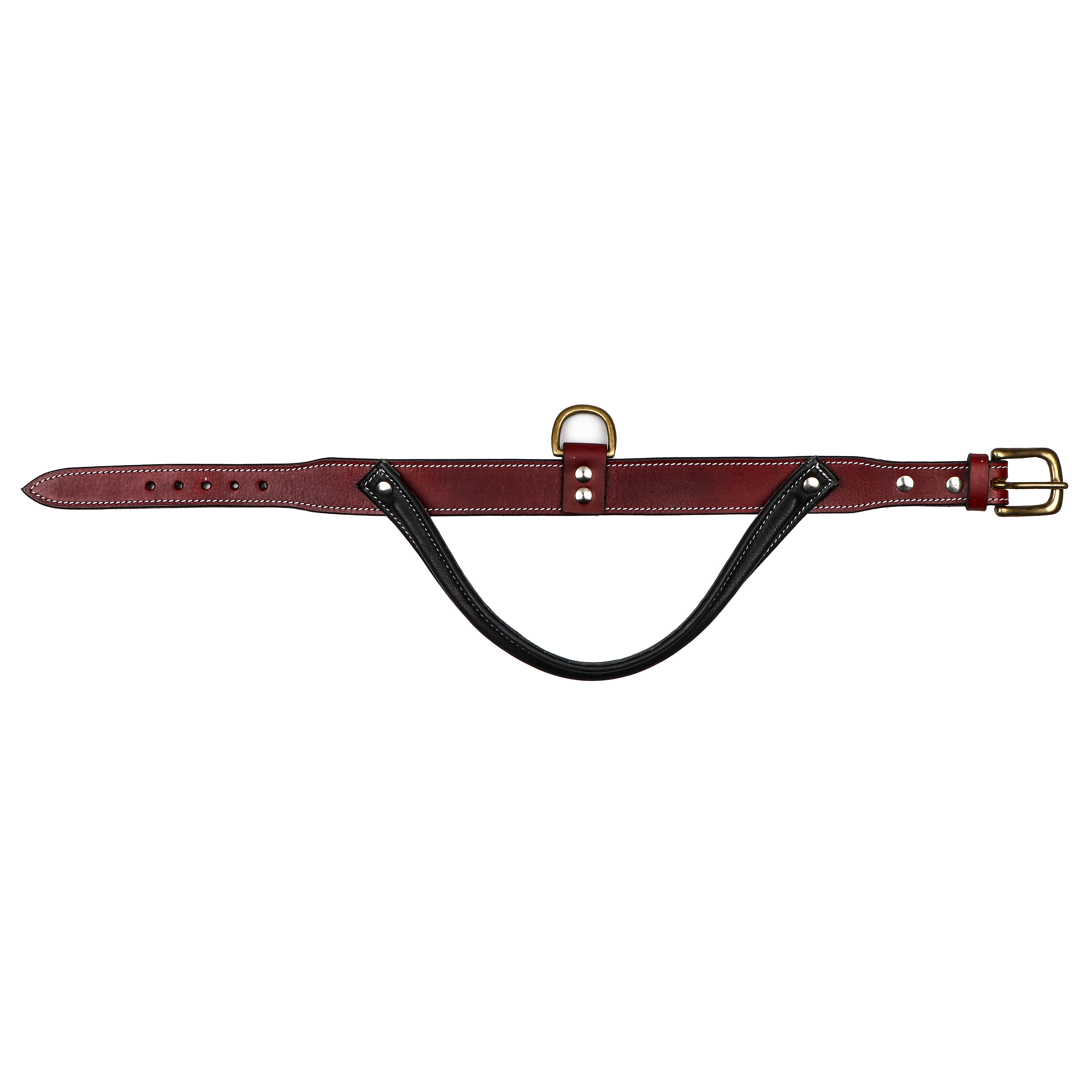 Sparrow Daughter Control Handle Dog Collar With Two Color Combination