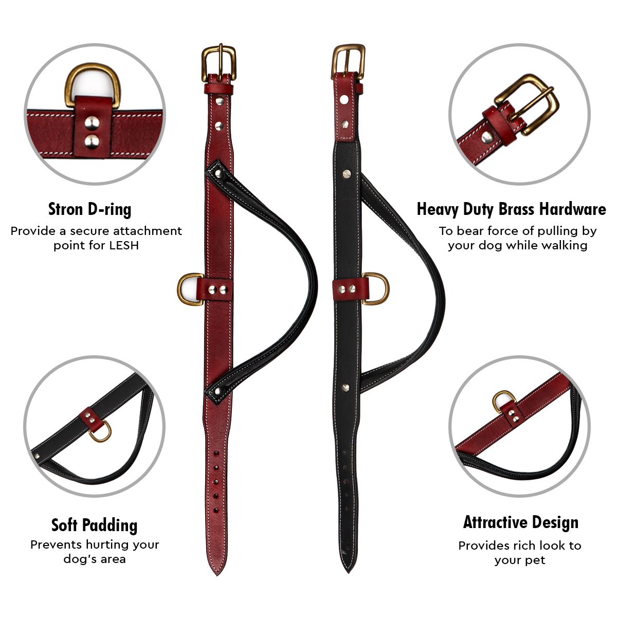 Sparrow Daughter Control Handle Dog Collar With Two Color Combination