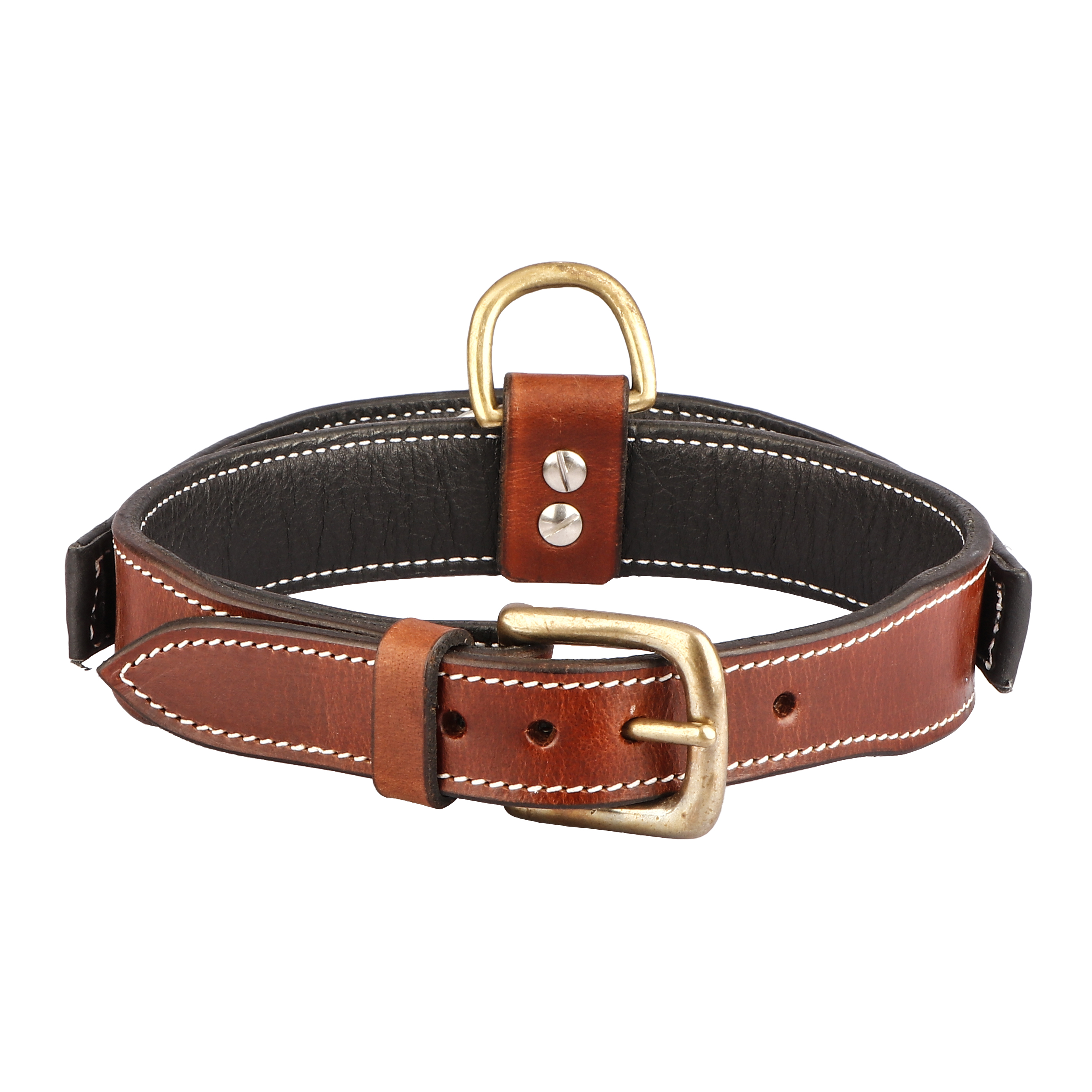Sparrow Daughter Control Handle Dog Collar With Two Color Combination