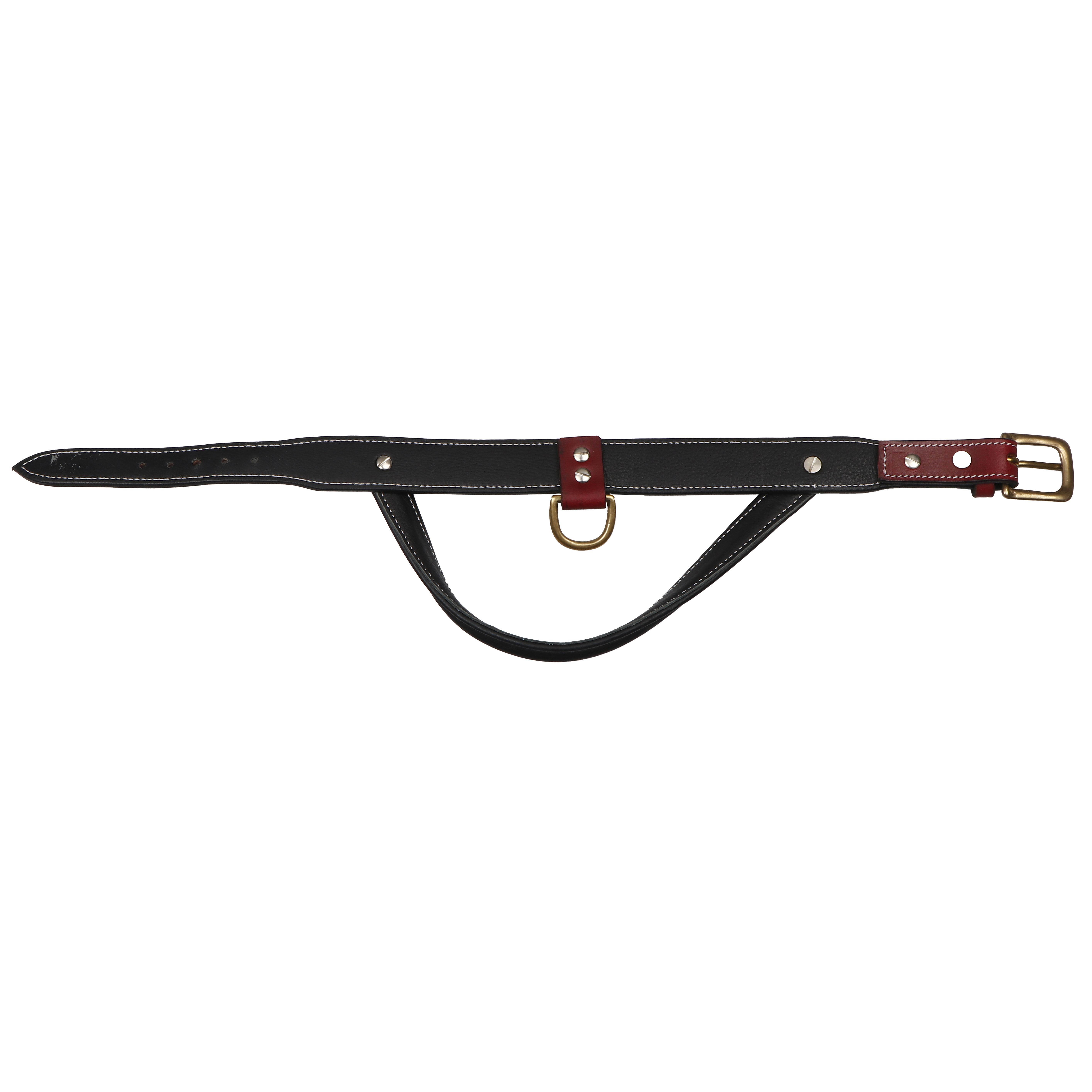Sparrow Daughter Control Handle Dog Collar With Two Color Combination