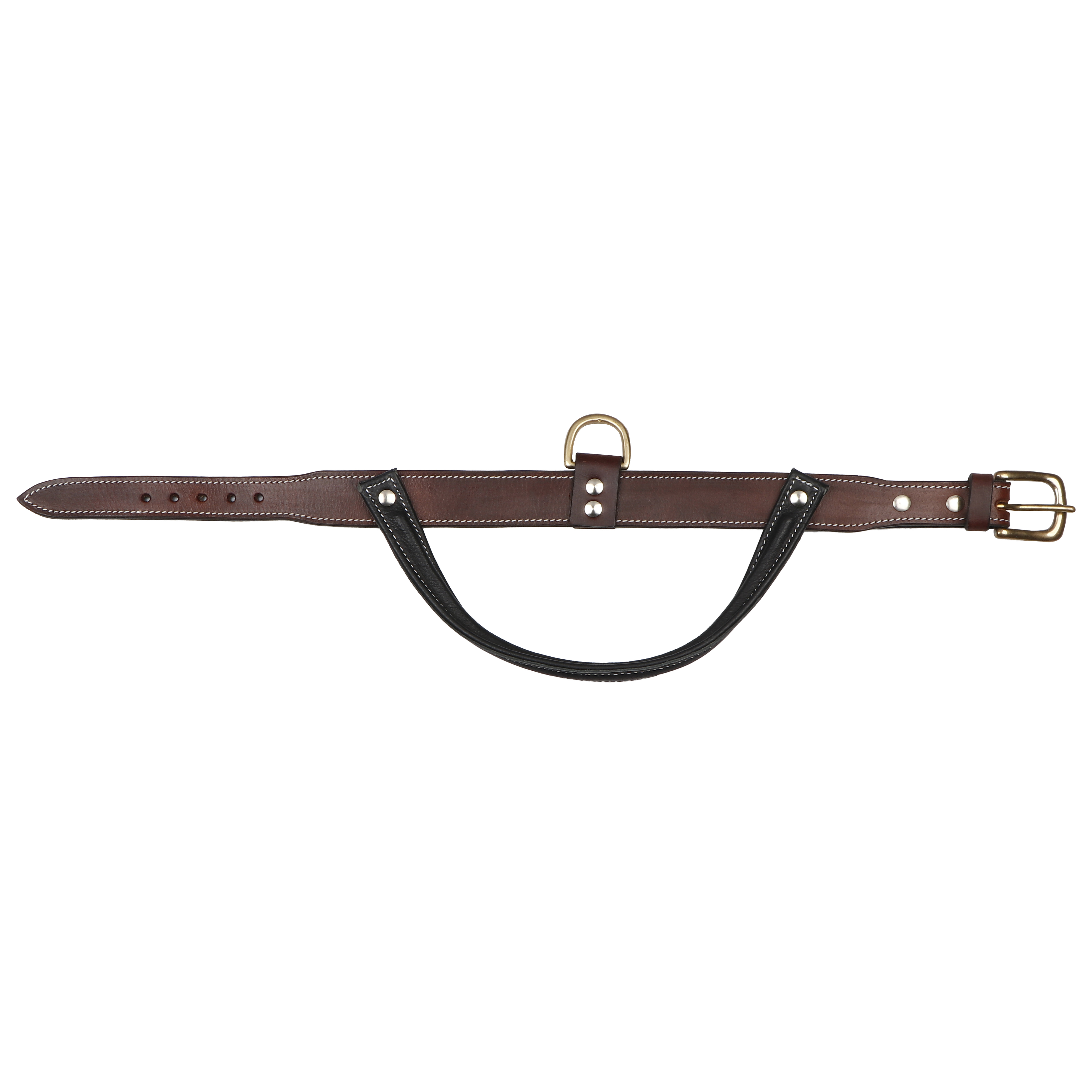 Sparrow Daughter Dog Collar With Soft Padded Handle