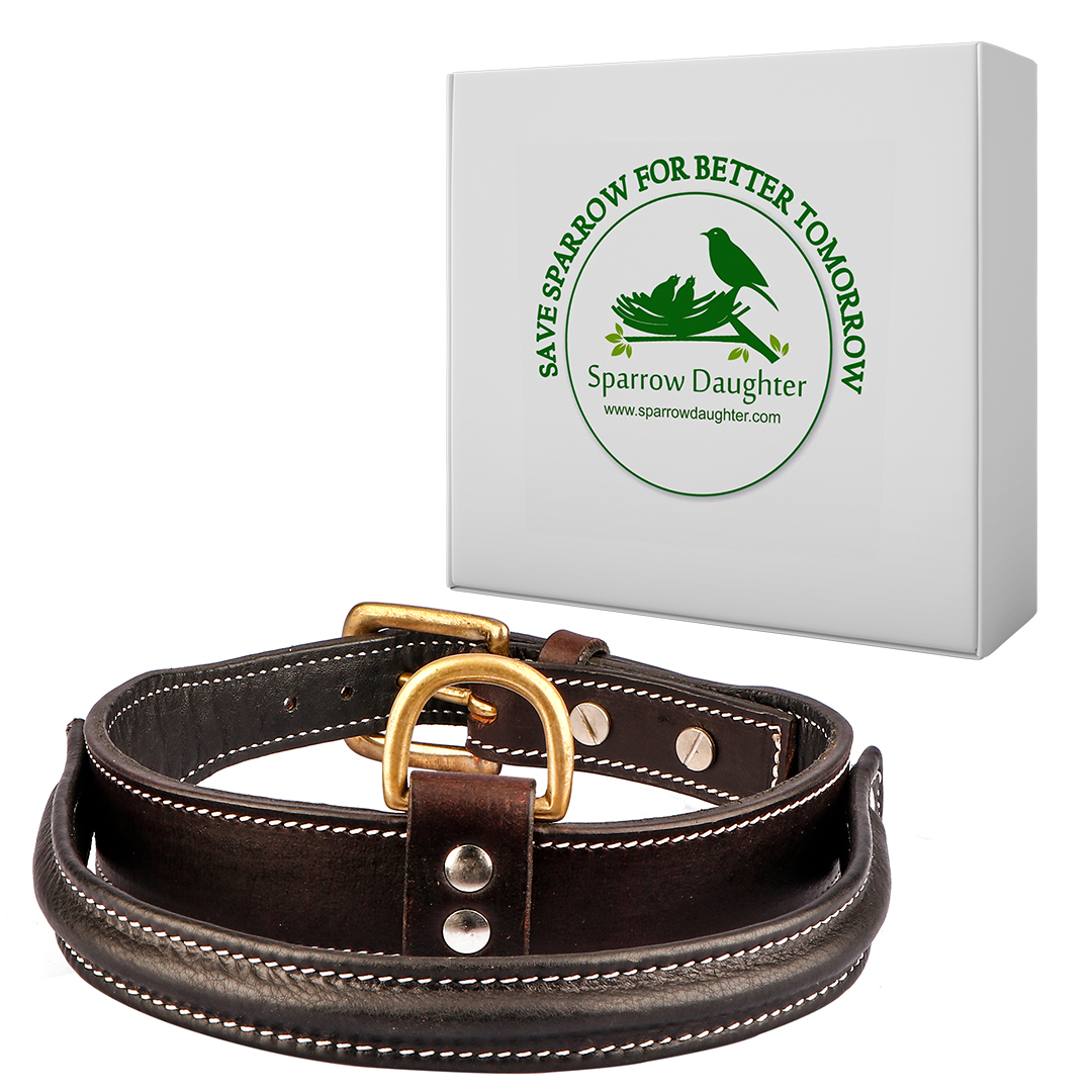 Sparrow Daughter Dog Collar With Soft Padded Handle