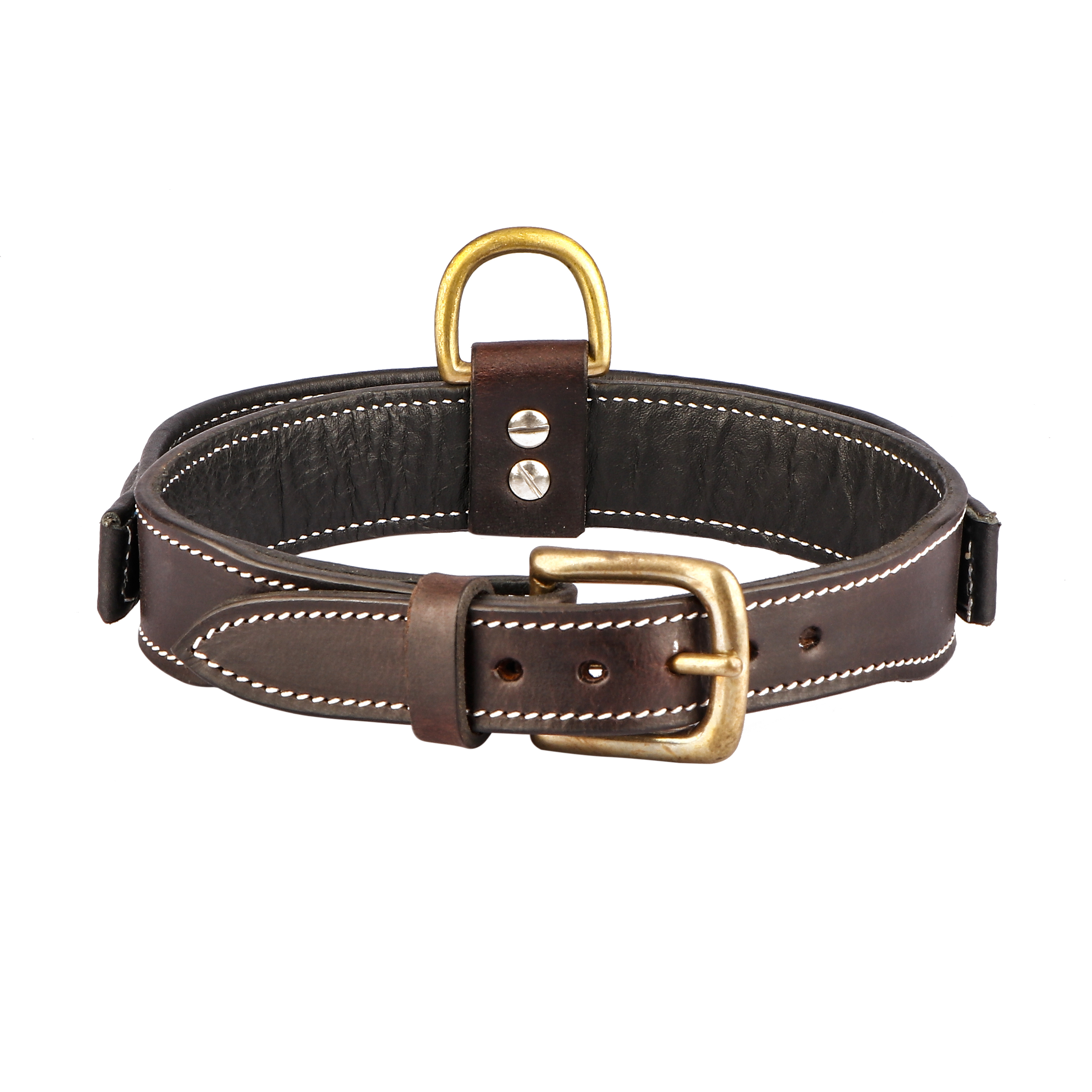 Sparrow Daughter Dog Collar With Soft Padded Handle