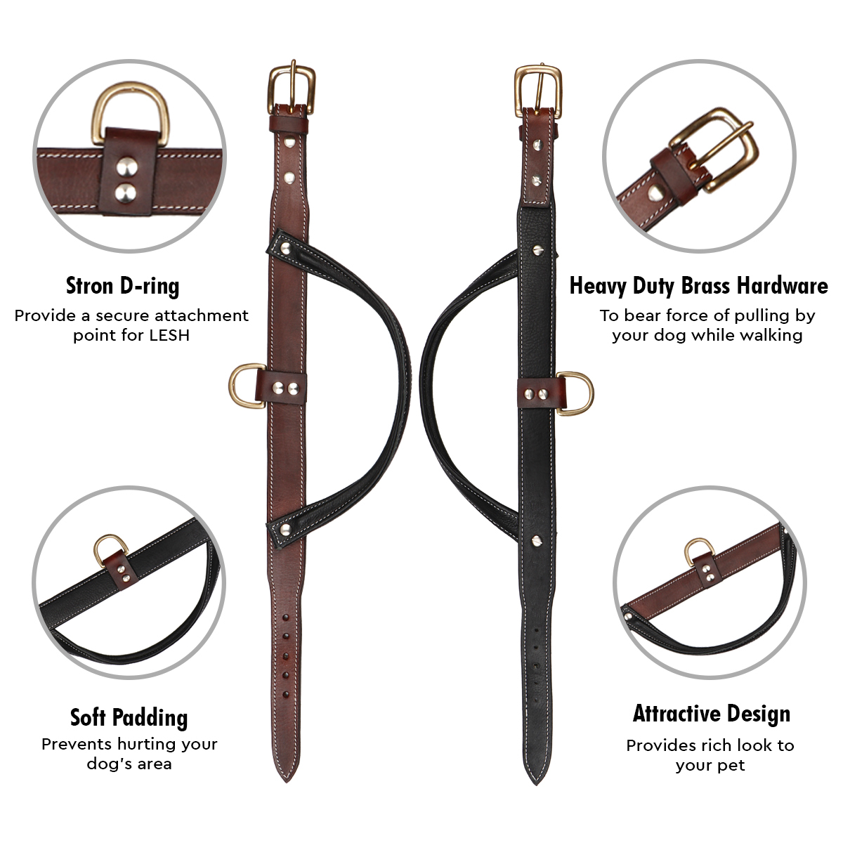 Sparrow Daughter Dog Collar With Soft Padded Handle