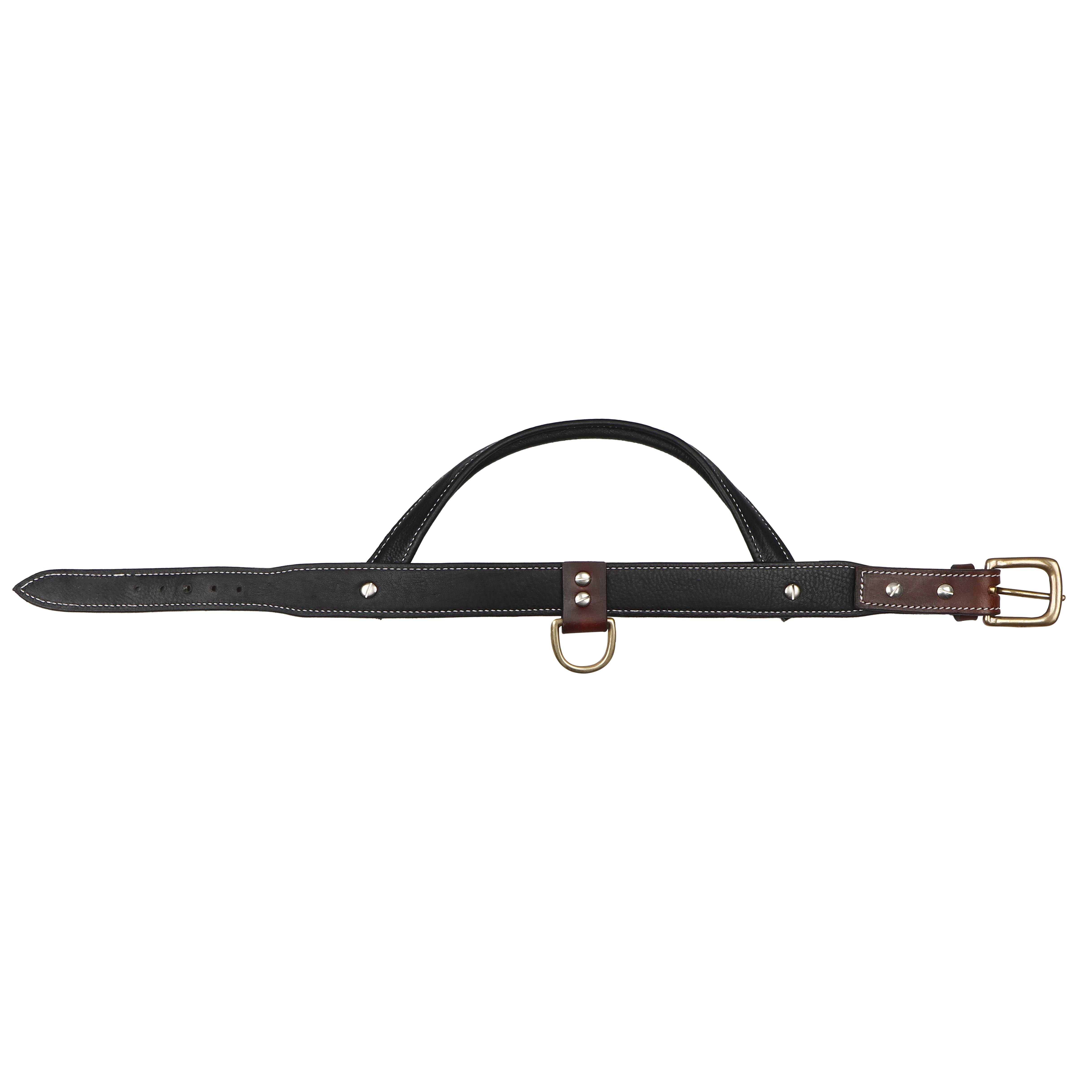 Sparrow Daughter Dog Collar With Soft Padded Handle