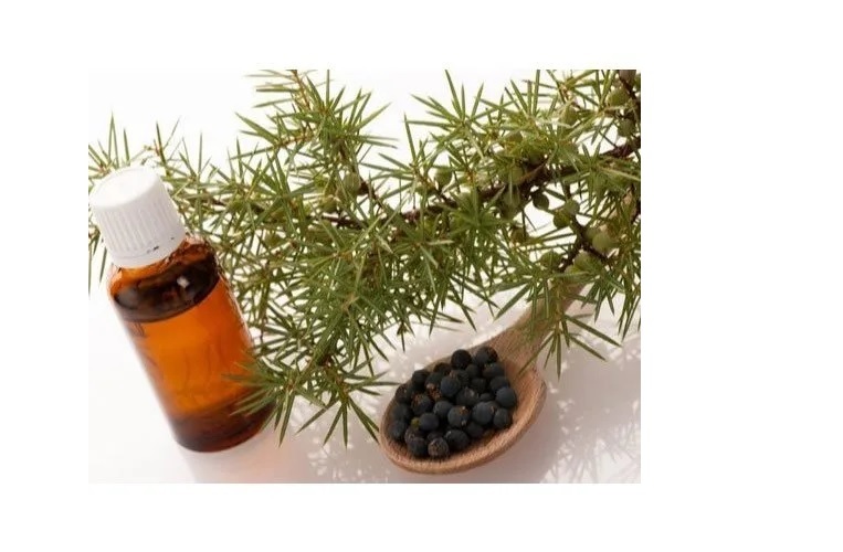 Juniper Berry Essential Oil - Grade: Cosmetic Grade