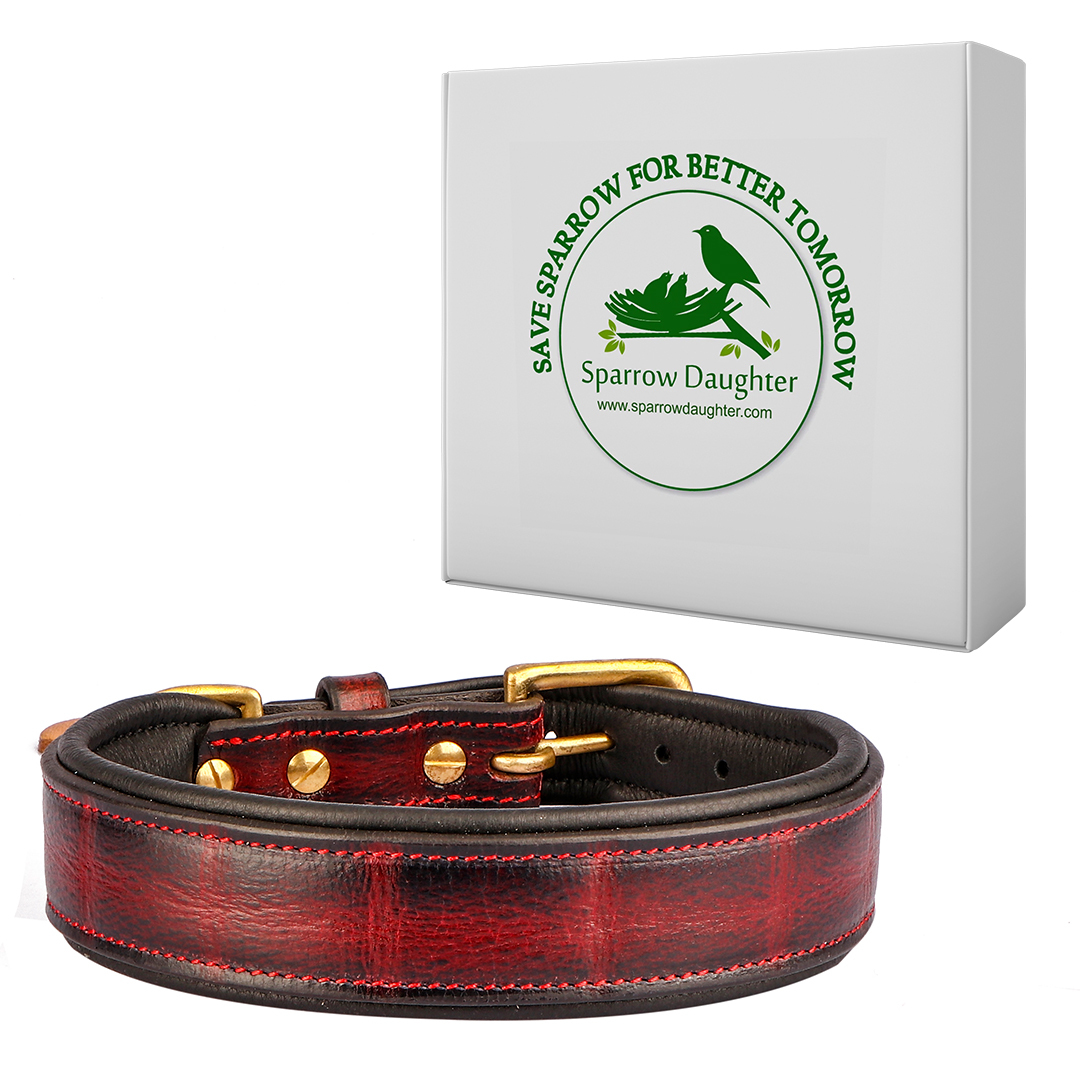 Sparrow Daughter Dog Collar For Small Medium Large Dogs Soft Breathable Padded
