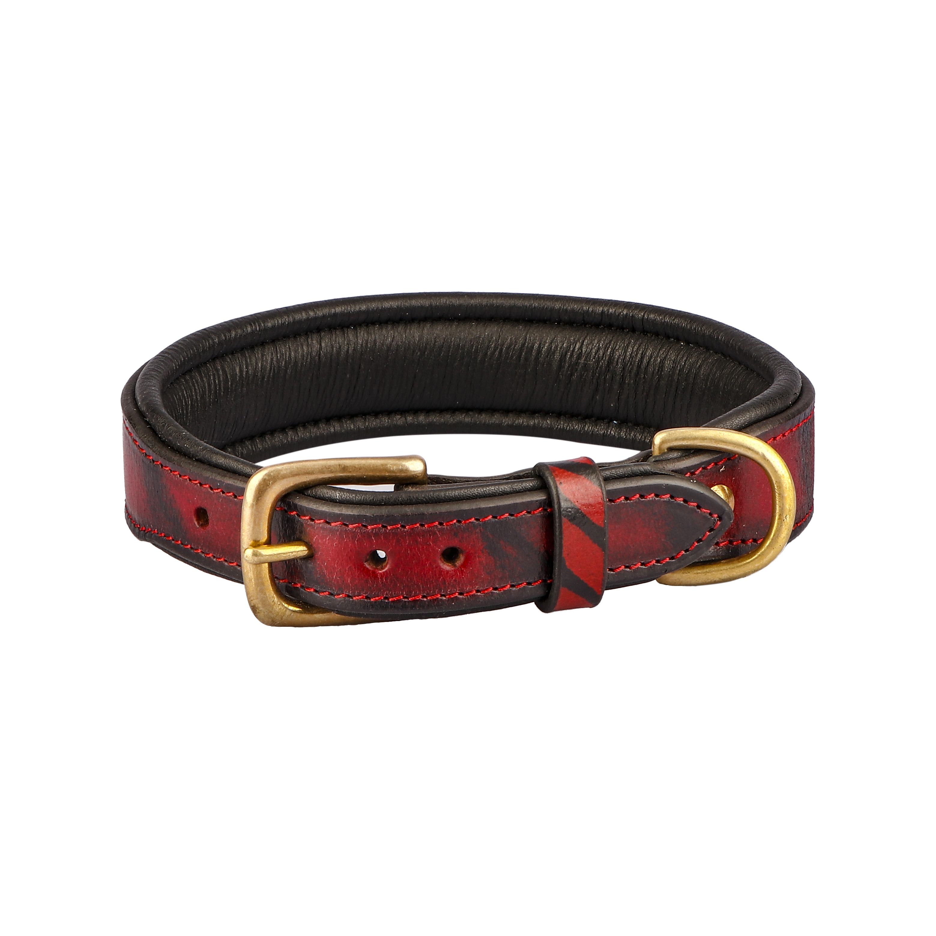 Sparrow Daughter Dog Collar For Small And Medium Dog