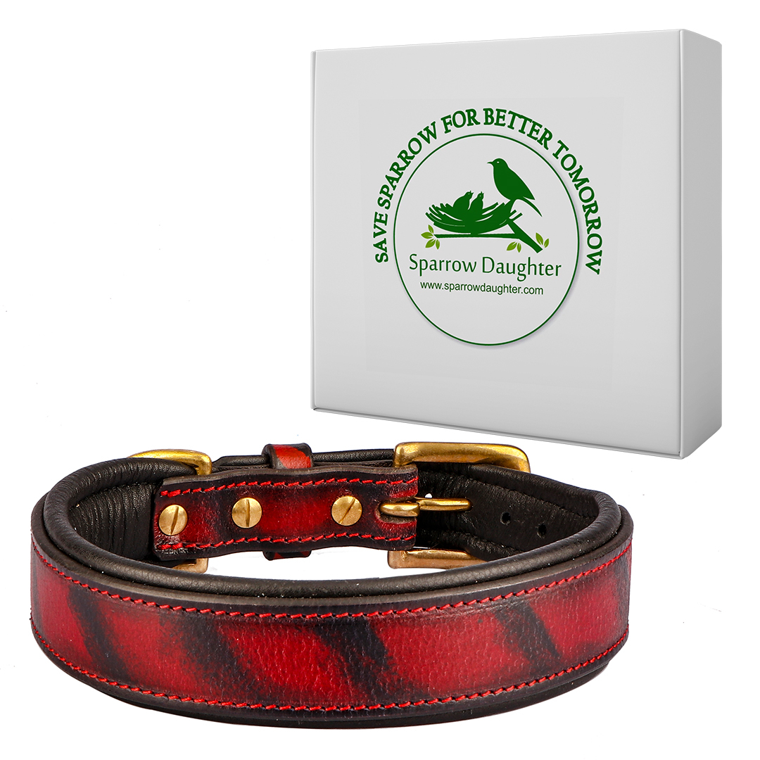 Sparrow Daughter Dog Collar For Small And Medium Dog