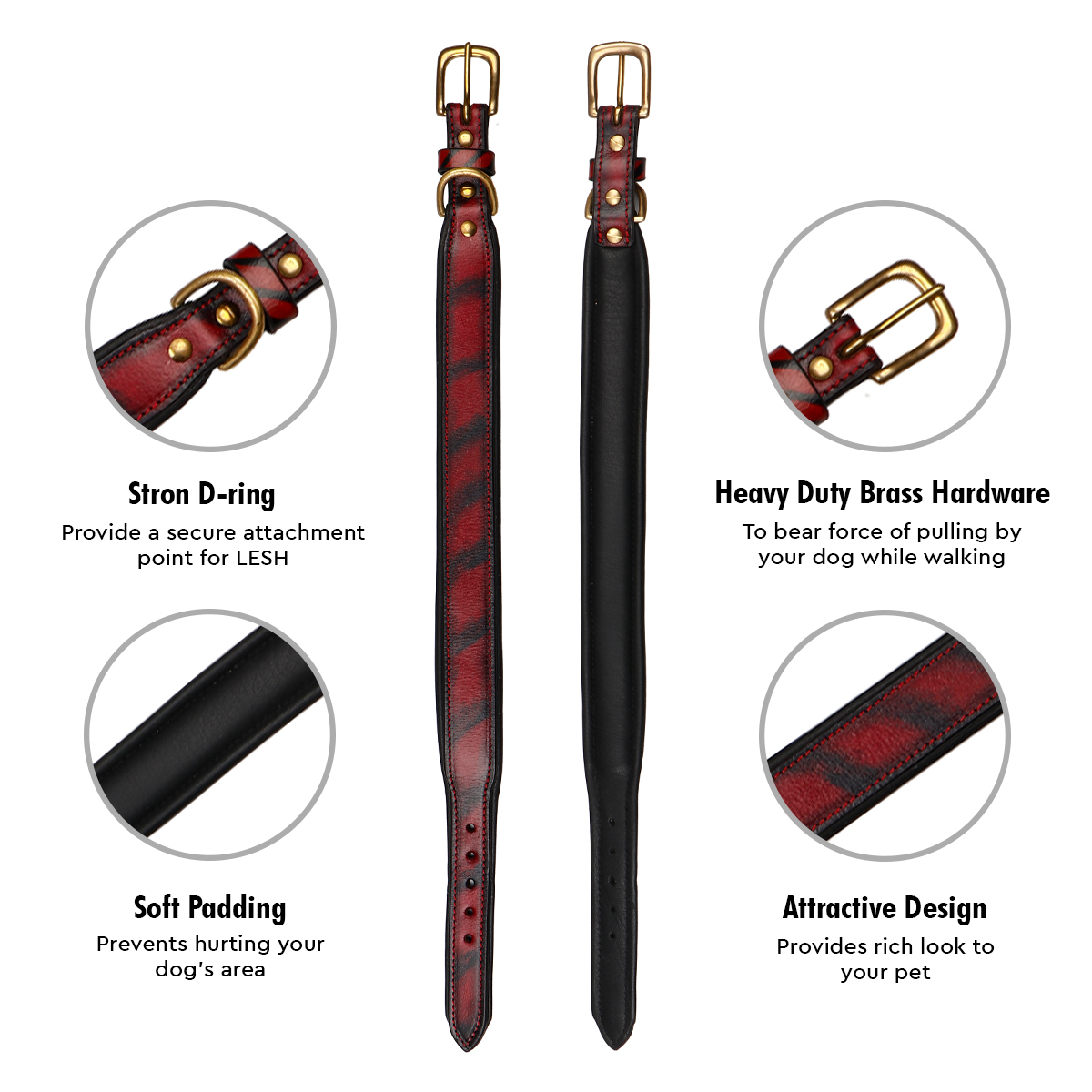 Sparrow Daughter Dog Collar For Small And Medium Dog