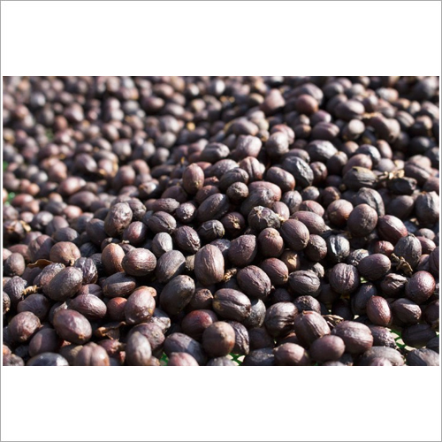 Dark Red Arabica Dry Cherry