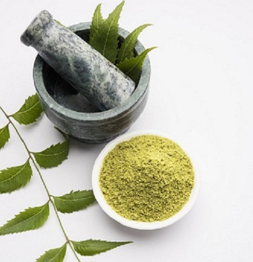 Neem Leaves Powder - 100% Natural, 25 Kg Pack Size | Antibacterial and Antifungal Benefits for Skin, Hair, and Wellness