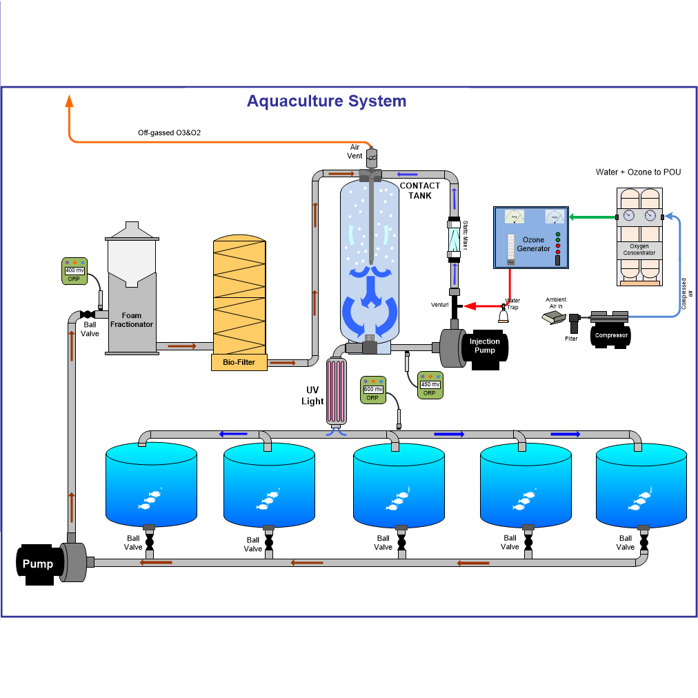 Recirculating Aquaculture Systems Size: Different Sizes Available