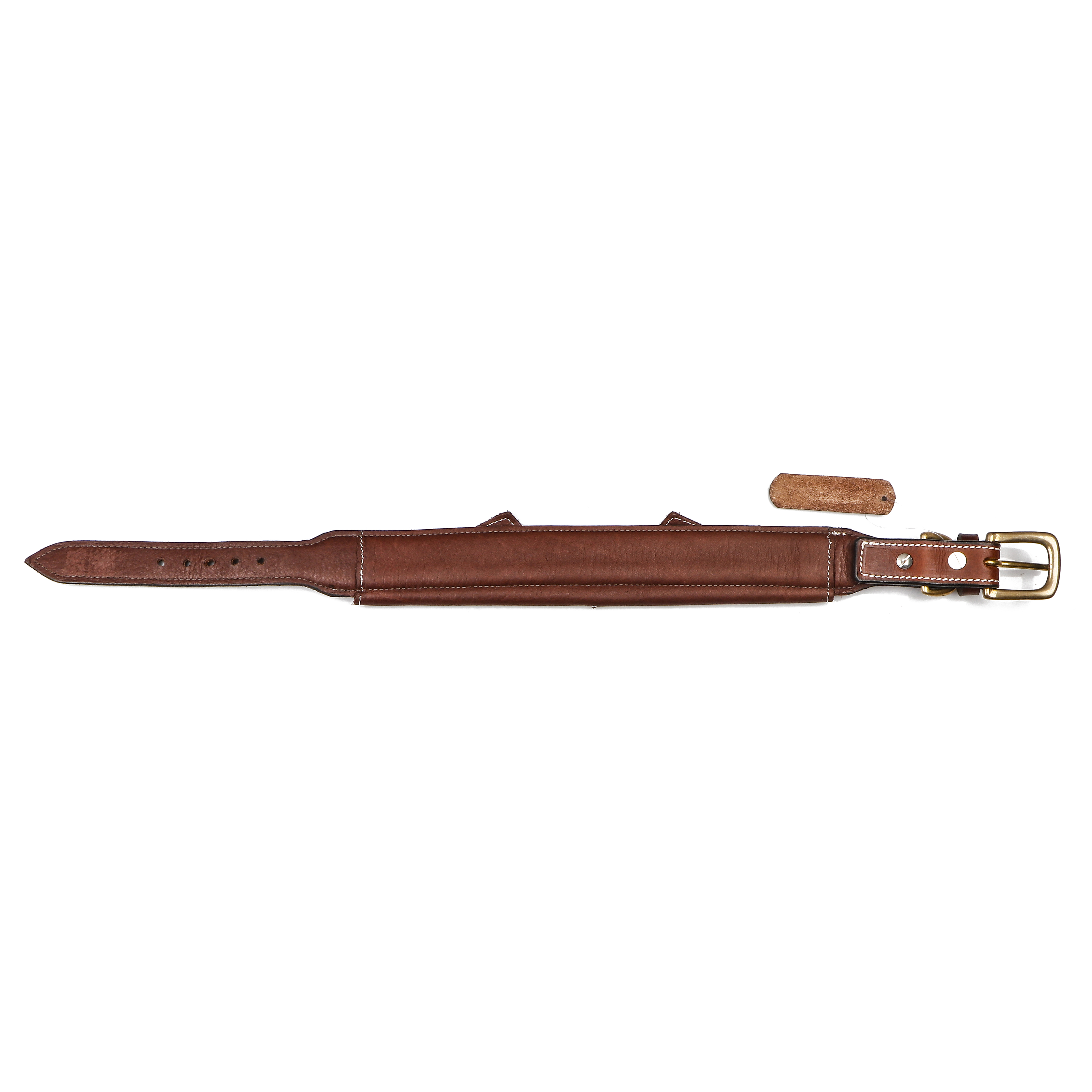 Sparrow Daughter Dog Collar With V Design